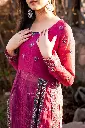 DSC05990.webp
